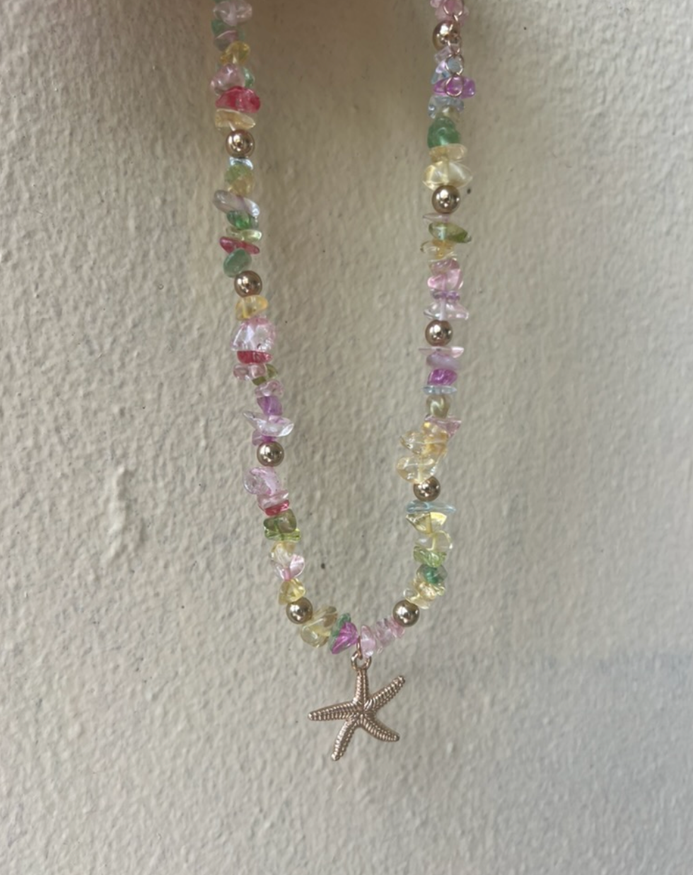Colorful Stone Starfish