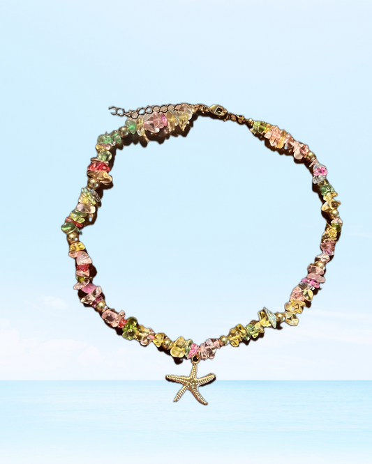 Colorful Stone Starfish
