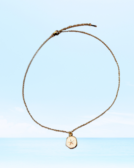 Starfish In Pearl Circle Necklace